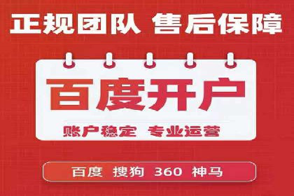 某电商平台的SEM策略与效果展示